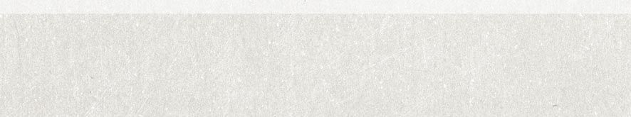 DSAPS740 Rebel white-grey 8.5x45 RAKO