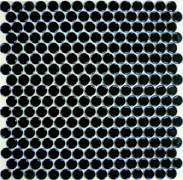 PS1900-09 315*294 NSmosaic