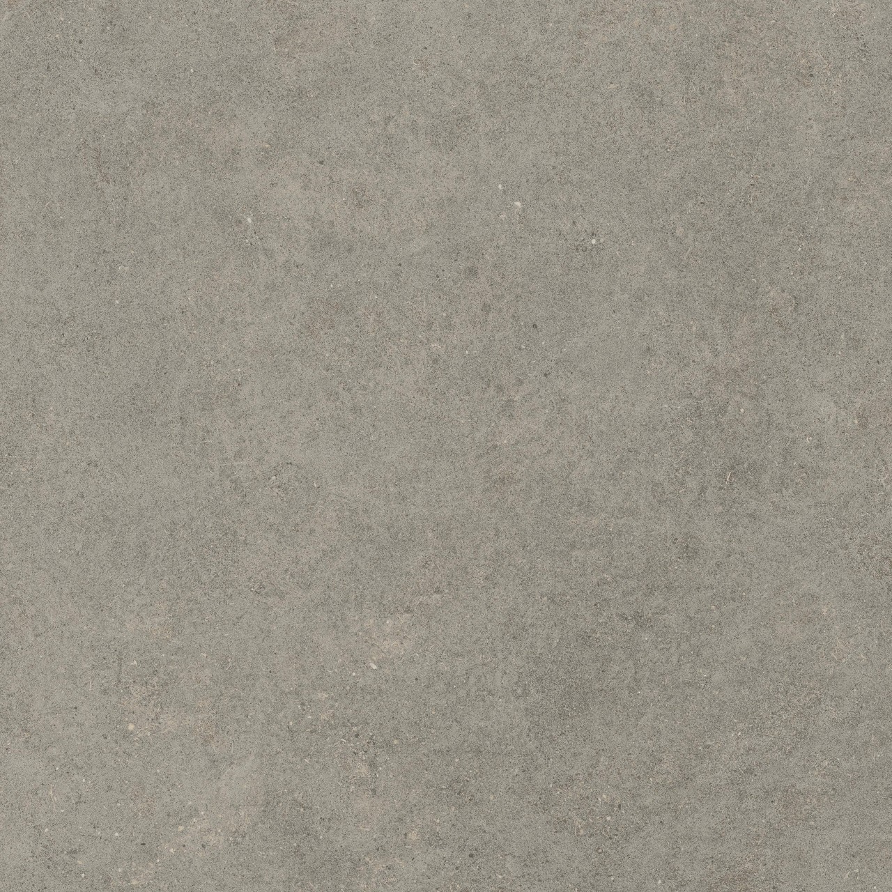 600010002429 Forte dei Marmi Rock Lunar Grey Matt Rett 120x120 Atlas Concorde Russia