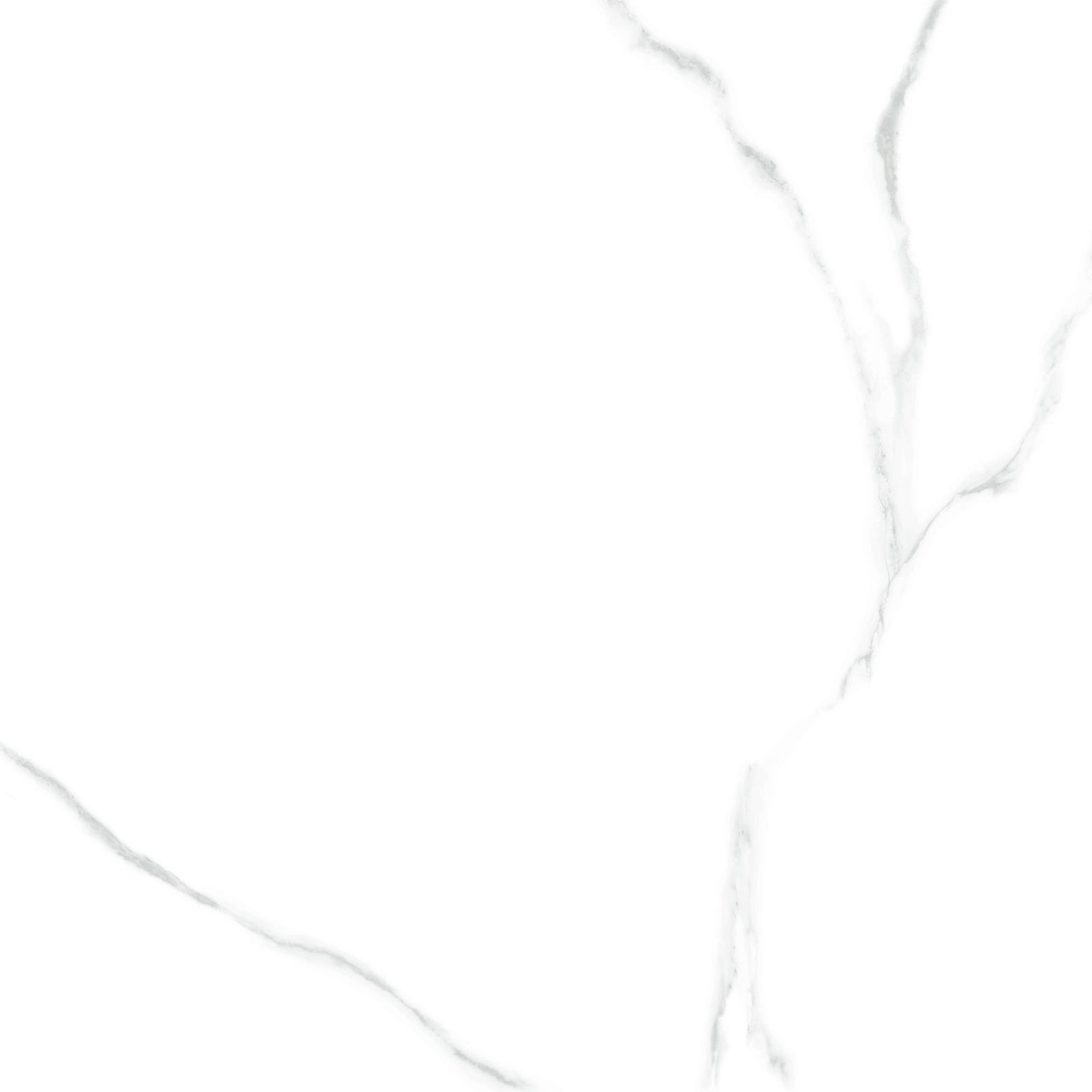 6060AMR00P Atlantic Marble 60x60 LCM