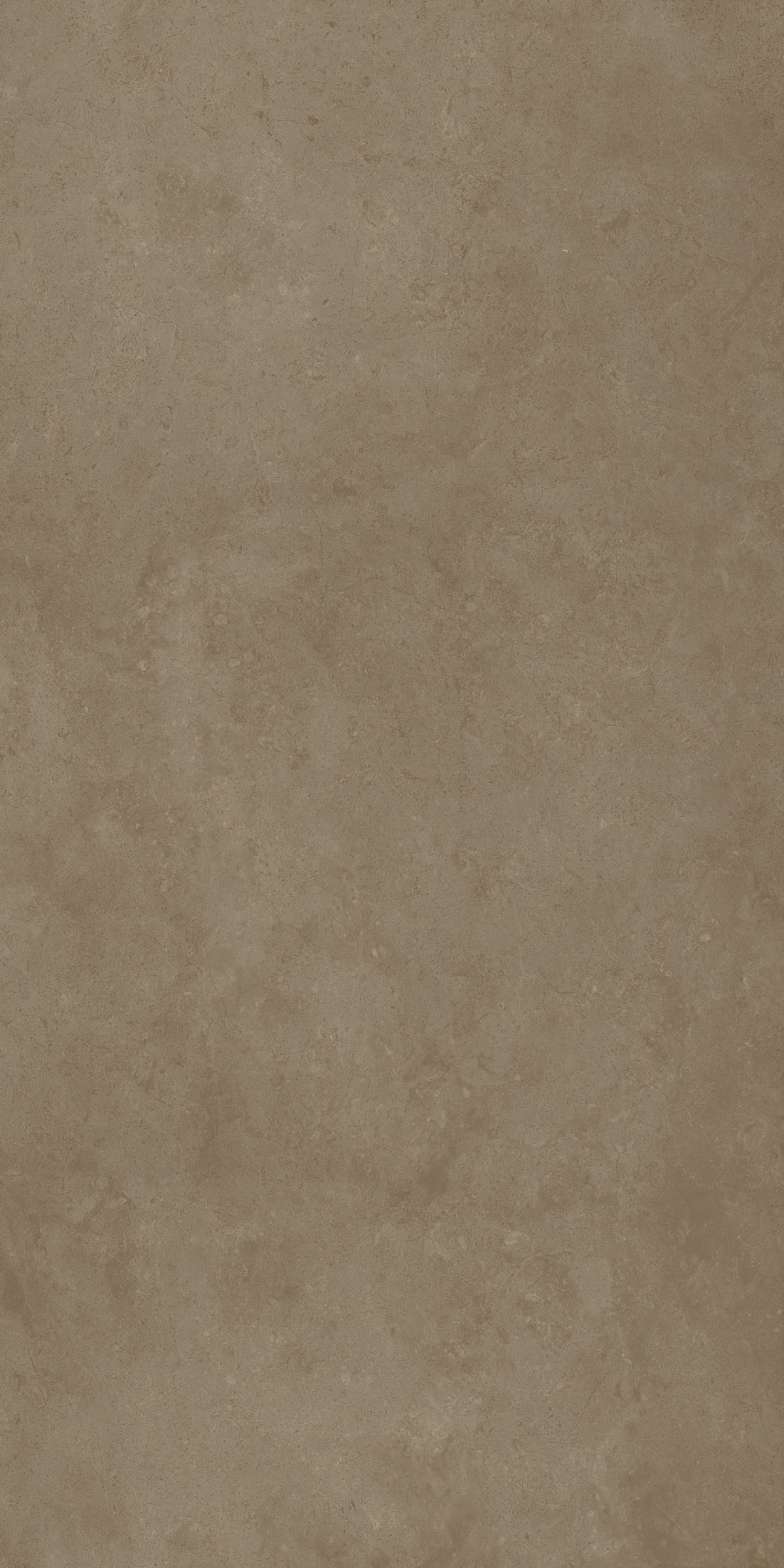 610010004100 Fossil Desert Nat Ret 60x120 Italon