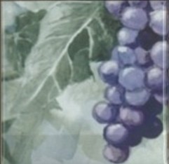Monocolor Composicion Acuarela Uvas 20х40 Absolut Keramika