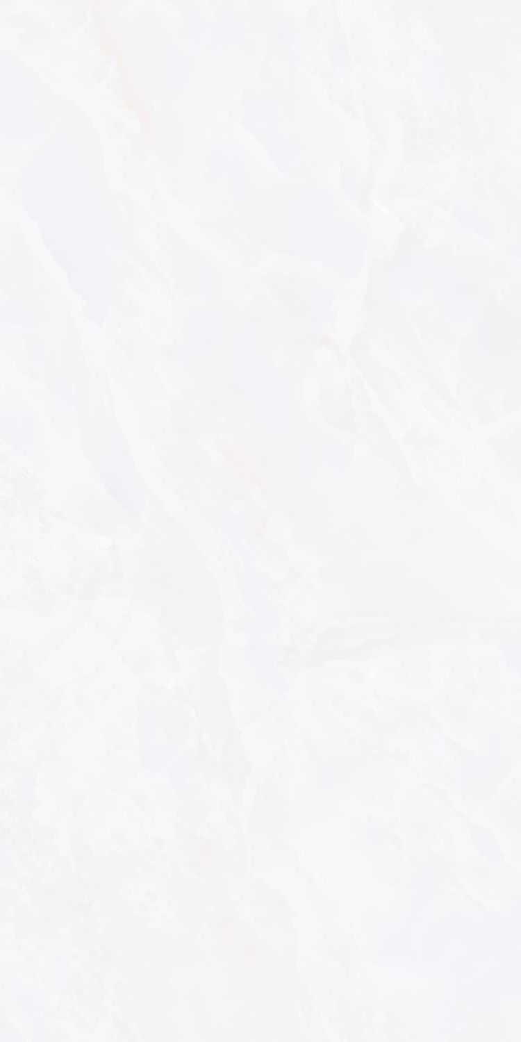 ZA-D12603 Glazed PR 1200x600x9 Vizavi
