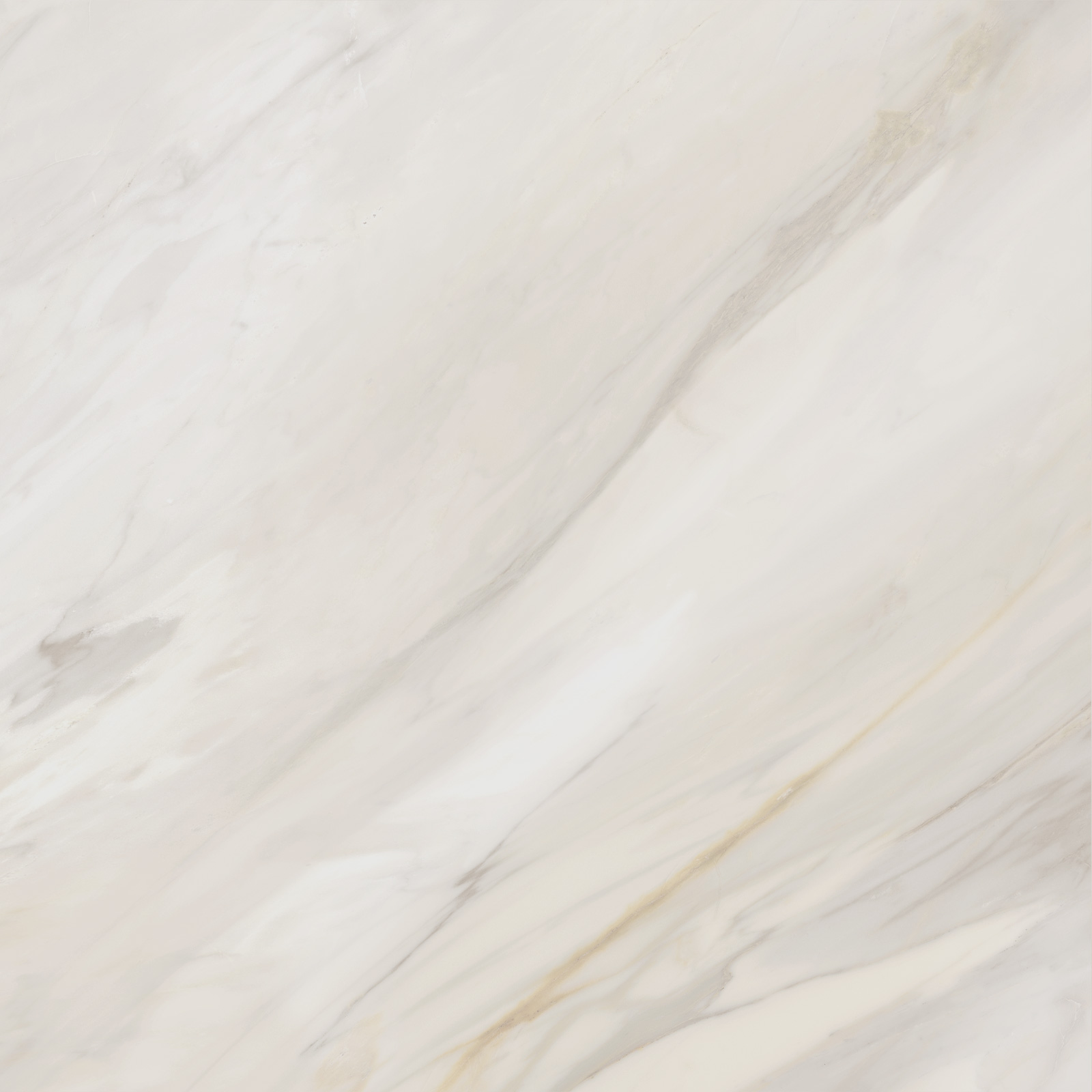 6060CAA01M Carolina Crema матовый 600x600x9.5 Delacora
