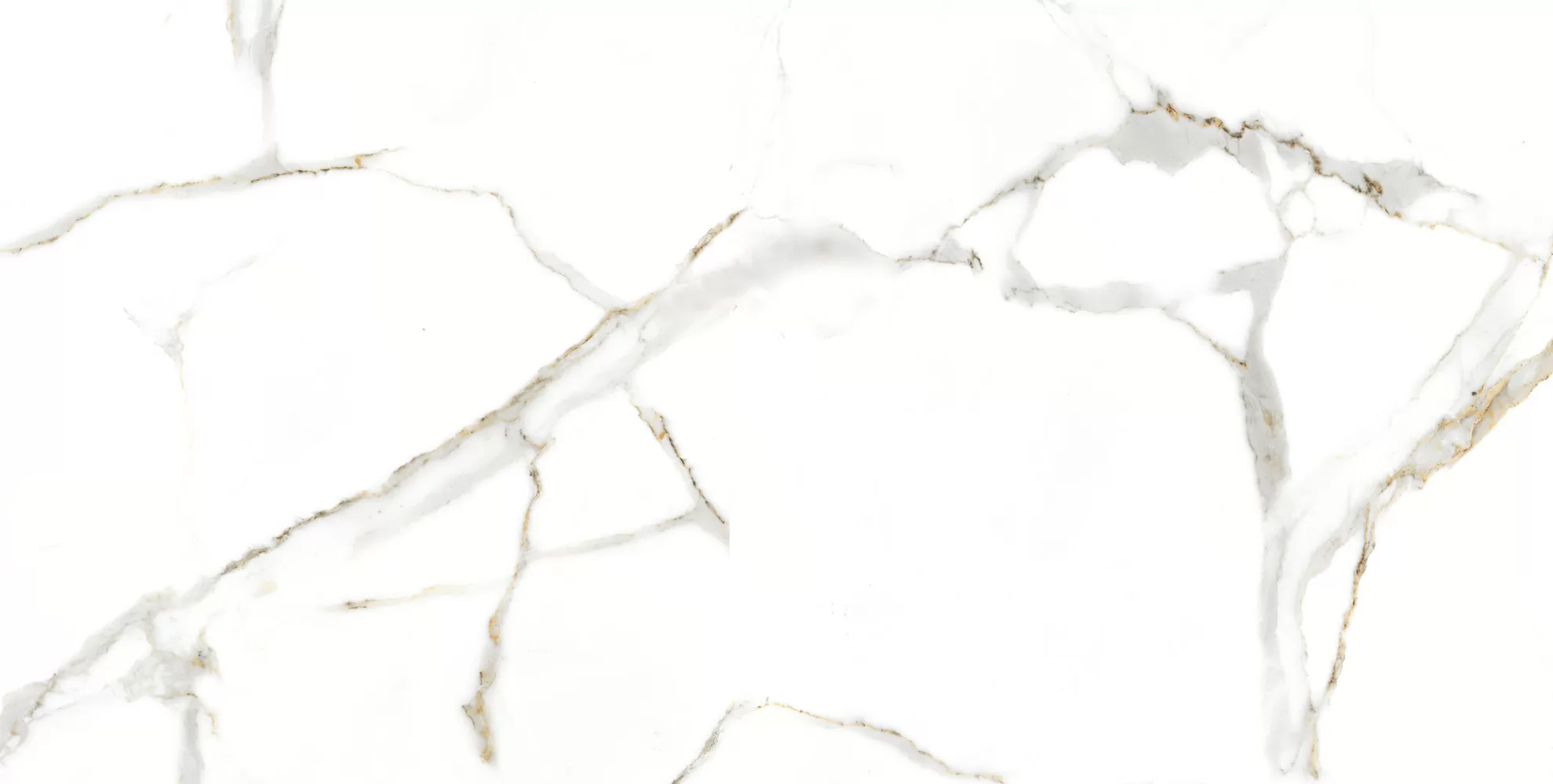 Satvario Gold 1200x600 Duna фото 8