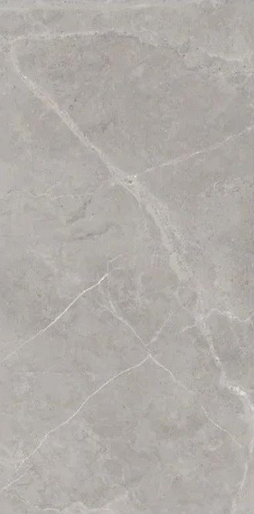 Berrys Grey High gloss 60*120 Art Ceramic