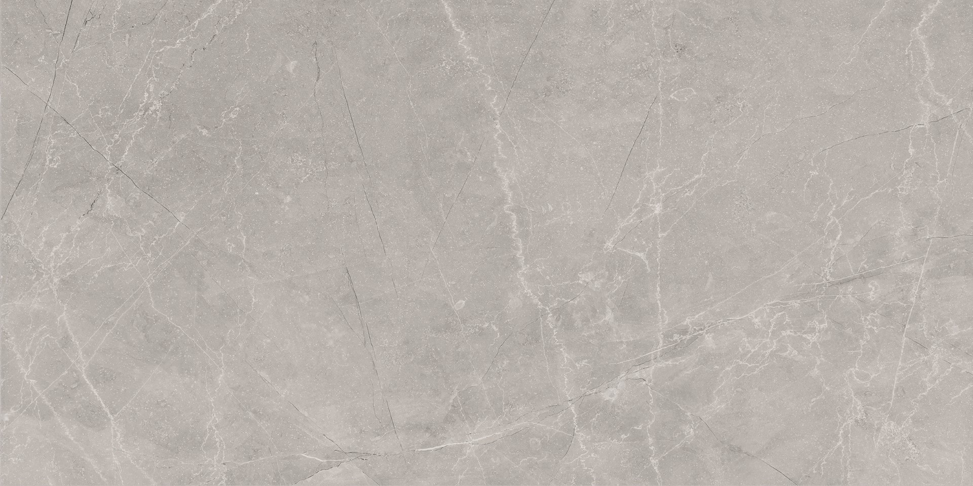 Bayona Silver Natural 60x120  Baldocer фото 8