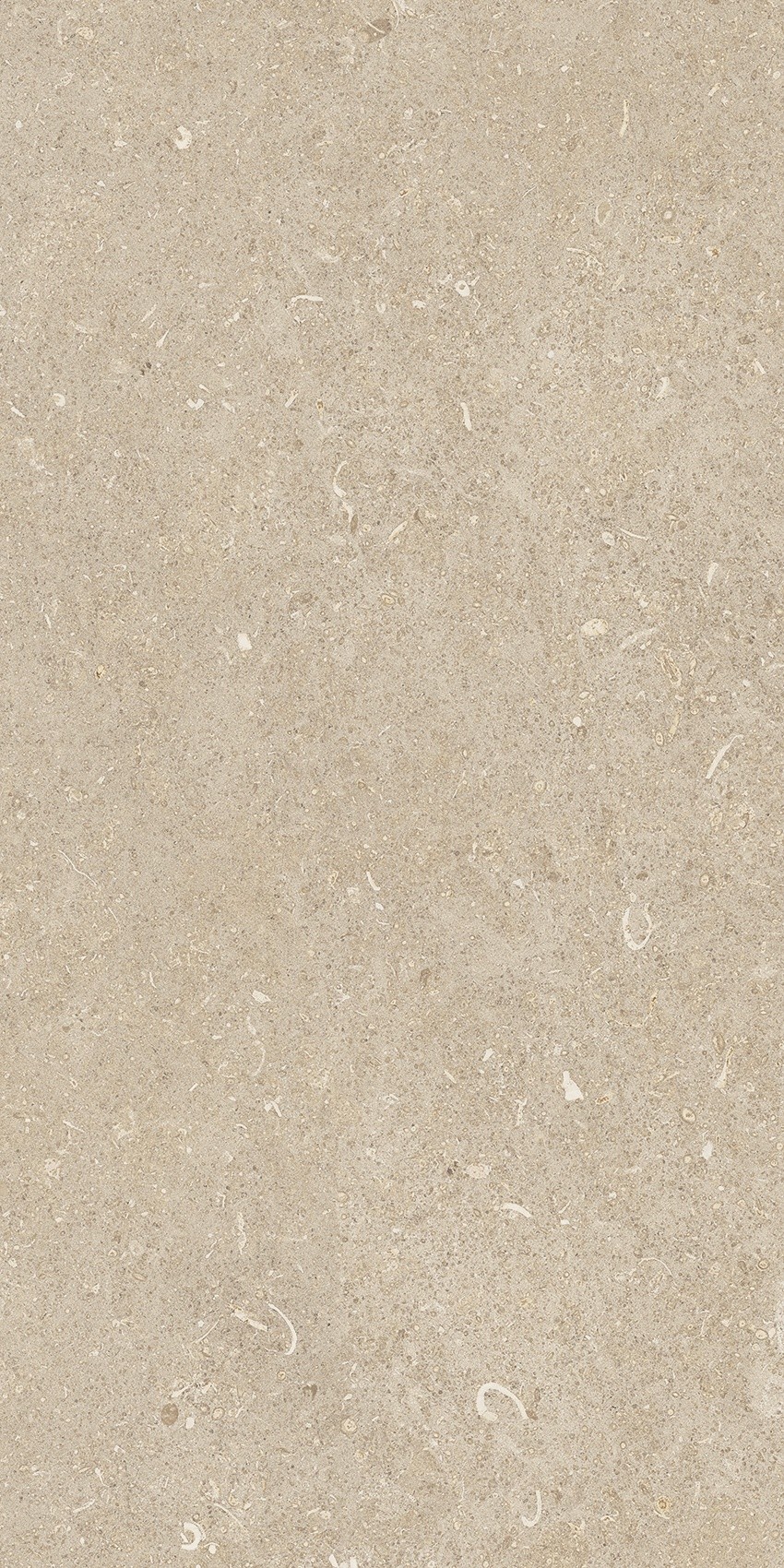 785489 Rinascenza Arena Conchiglia Matte 30x60 Casa Dolce Casa фото 5