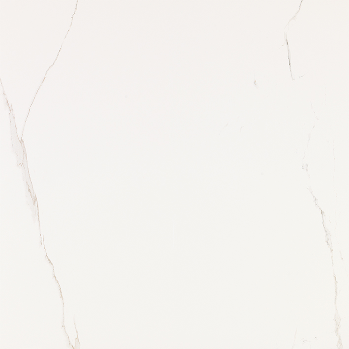 V57000731 Artic Nature 80x80 Venis