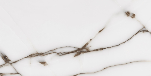 CV20195 Fancy Onix Grey Glossy 60x120 Neodom