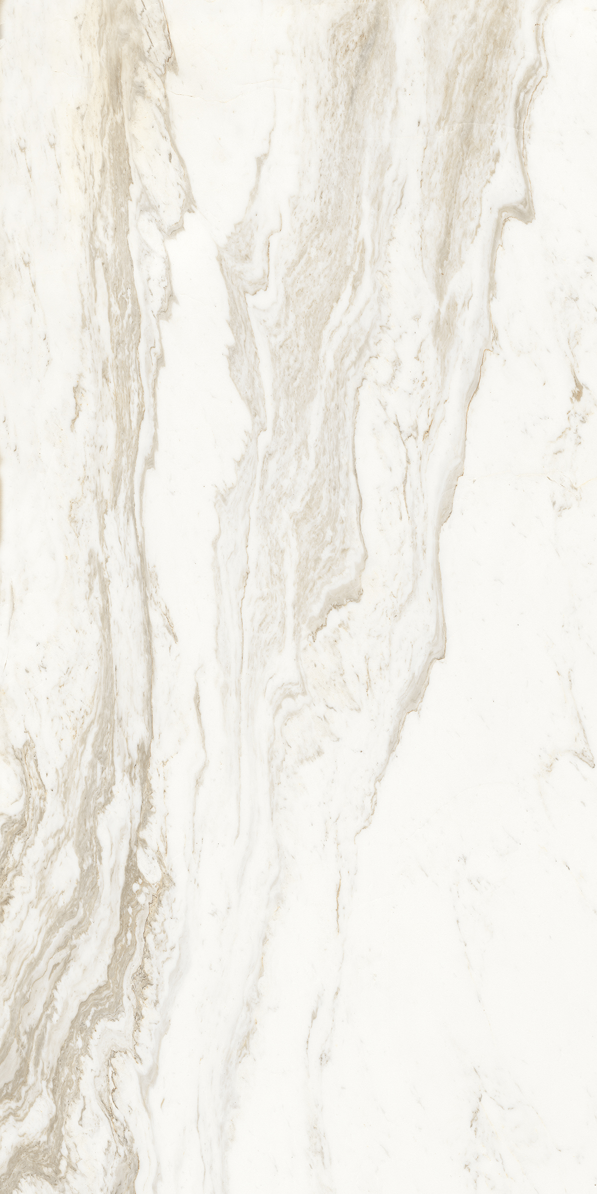 883 Alaska Bianco 120x60 Artcer