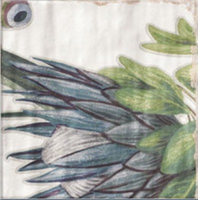 DECOR PROTEA 20x20 Mainzu