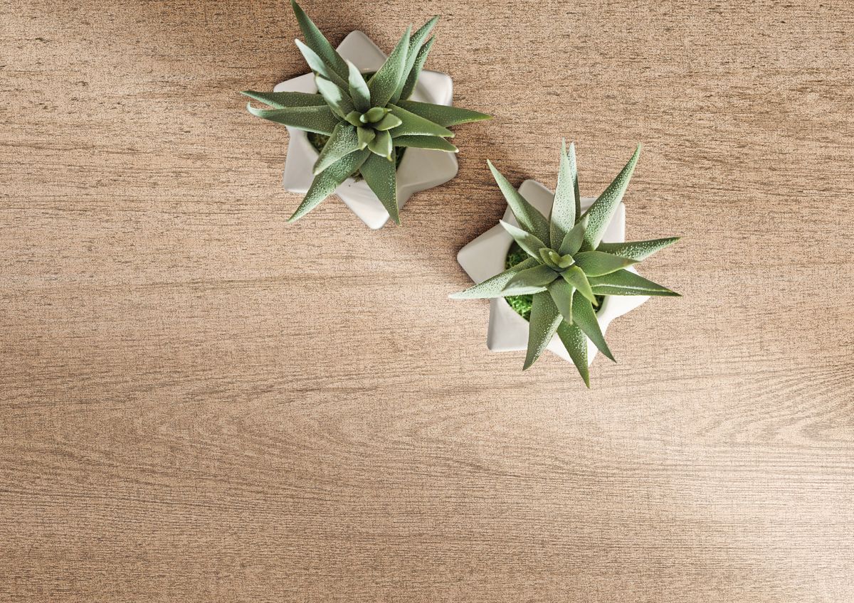 Wood 1A4 Imola Ceramica