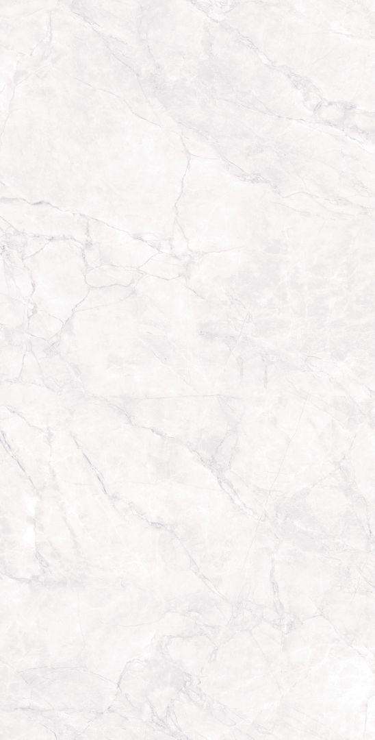 CR4007-A Arctic White Carving 60x120 Arcadia Ceramica