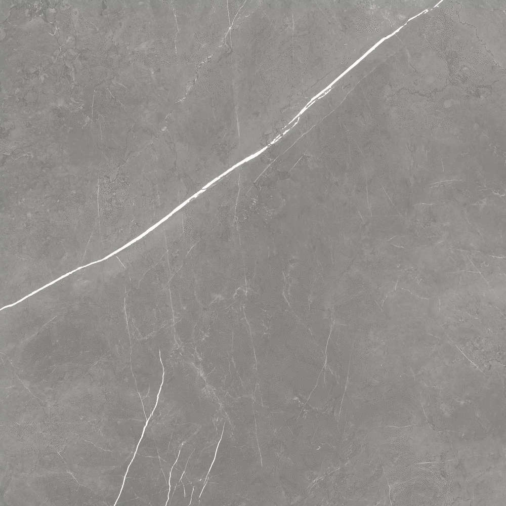610010002724 Elegant Grey Lastra 20mm 60x60 Atlas Concorde Russia
