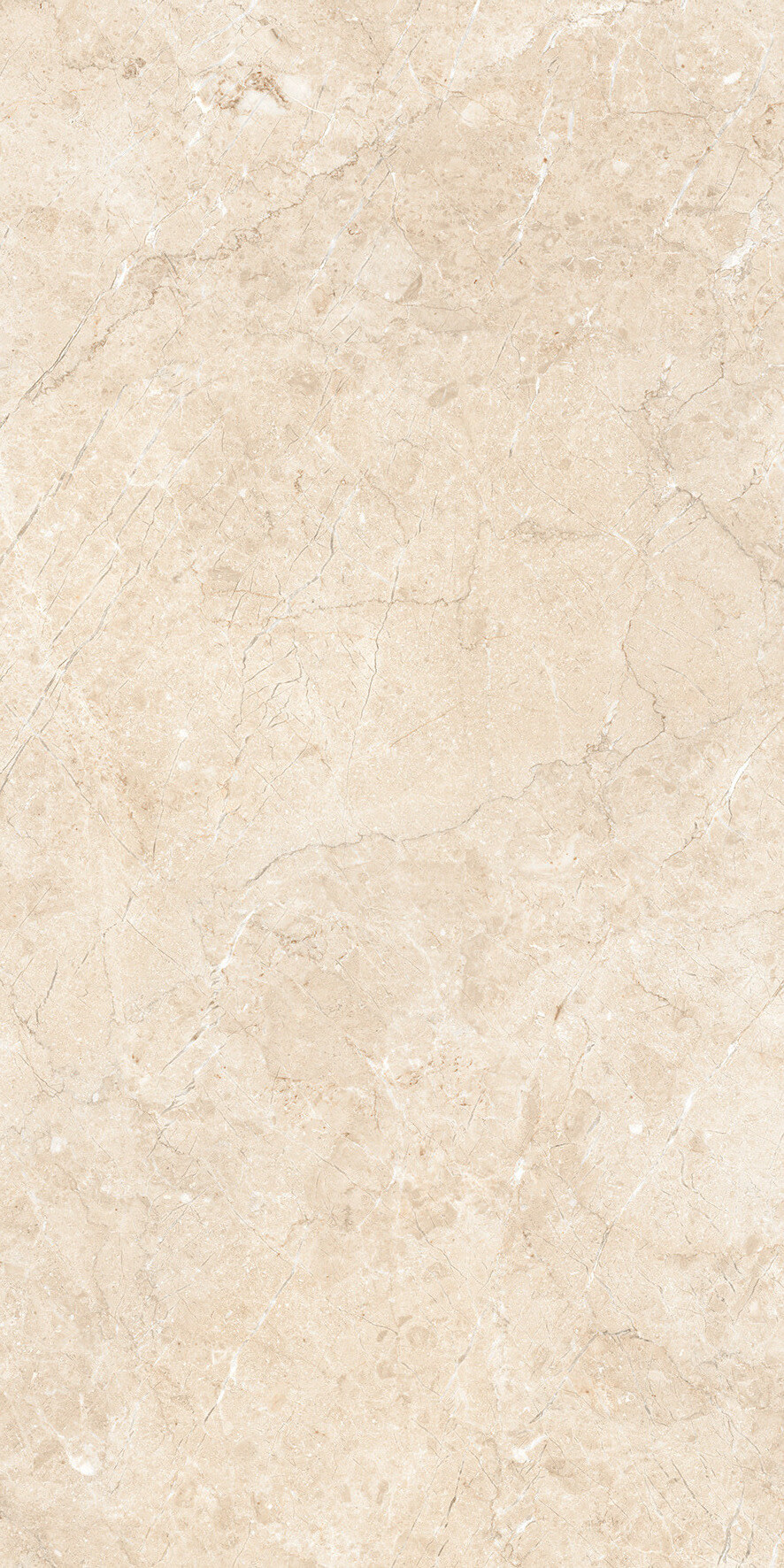 1216 Palermo Beige Matt Glr 9 mm 120x60 Artcer фото 3