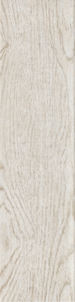 Eko Bianco R1WD 12.5*50 Ragno Marazzi