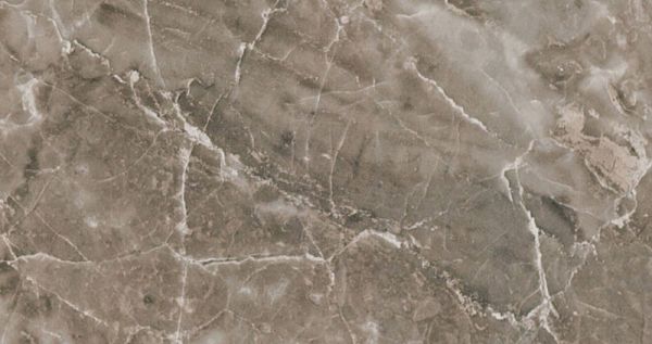 240066 MARBLE GRIGIO ONICE Lap 58,5x117,5 Versace (Gardenia Orchidea)