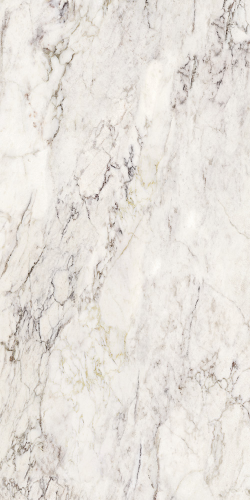 274102 Breccia Capraia Lap Ret 60x120 La Fabbrica Ceramiche