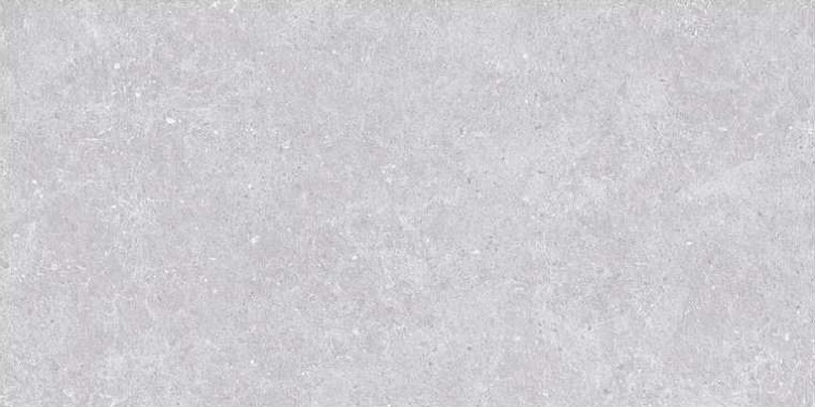 SE9544M50 Lasko Light Gray Semi Polish Rect 60х120 Novin Ceram Yazd Tile Co
