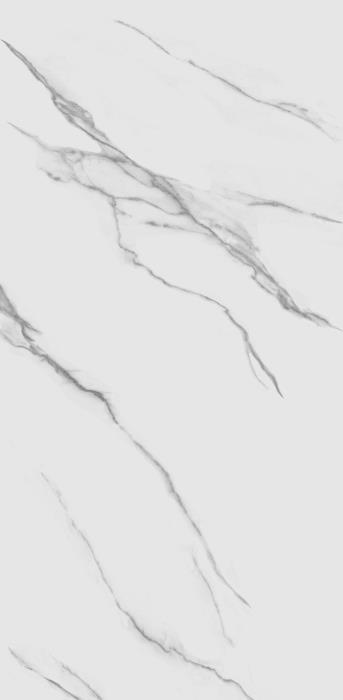 TP612M001 Авиталь матовый 60x120 PrimaVera