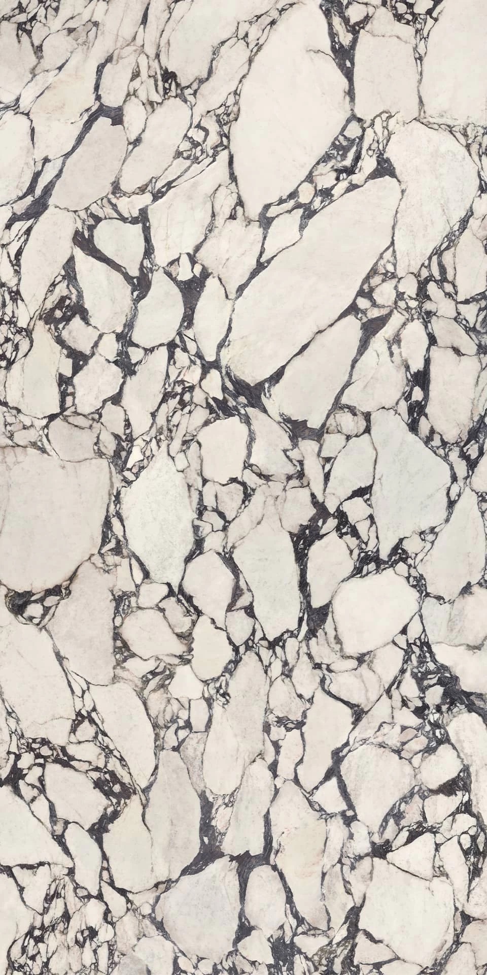 HCL7 Calacatta Viola Polished ST 12mm 162x324 Atlas Concorde