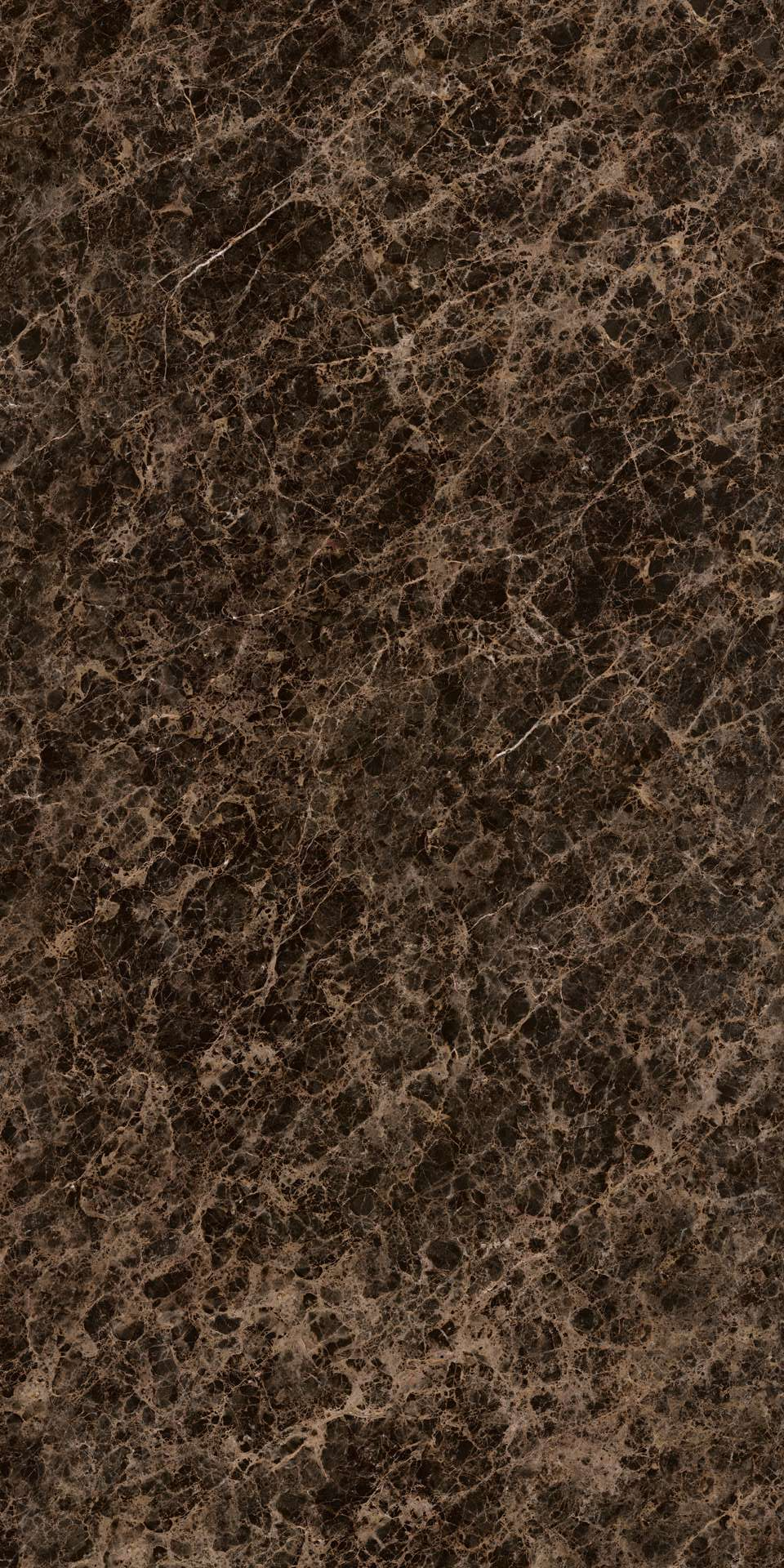 FMAA100U010A2 Emperador Lucido 150x300 IRIS FMG