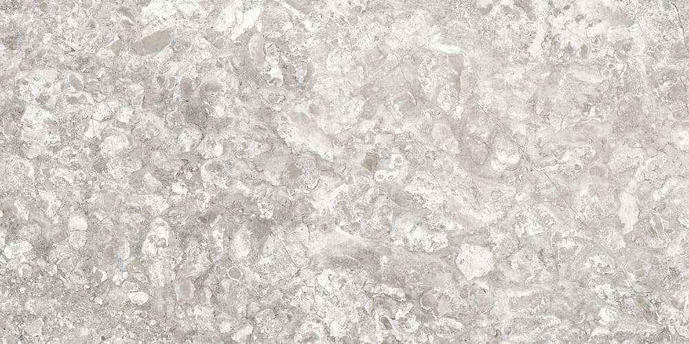 Lunar Grey Light / Лунар Светло-серый LR 120x60 Idalgo (Идальго)