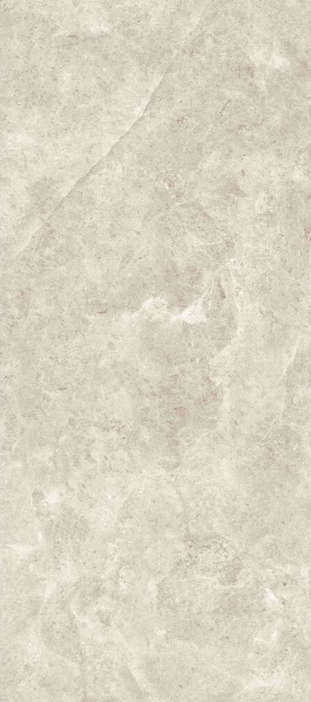 MN226AP271206 Platinum Leica Polished 6mm 120x270 Moreroom Stone