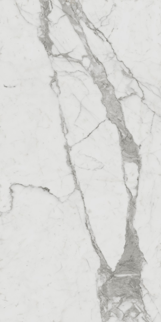 610010001410 Charme Evo Statuario Nat Ret 60х120 Italon