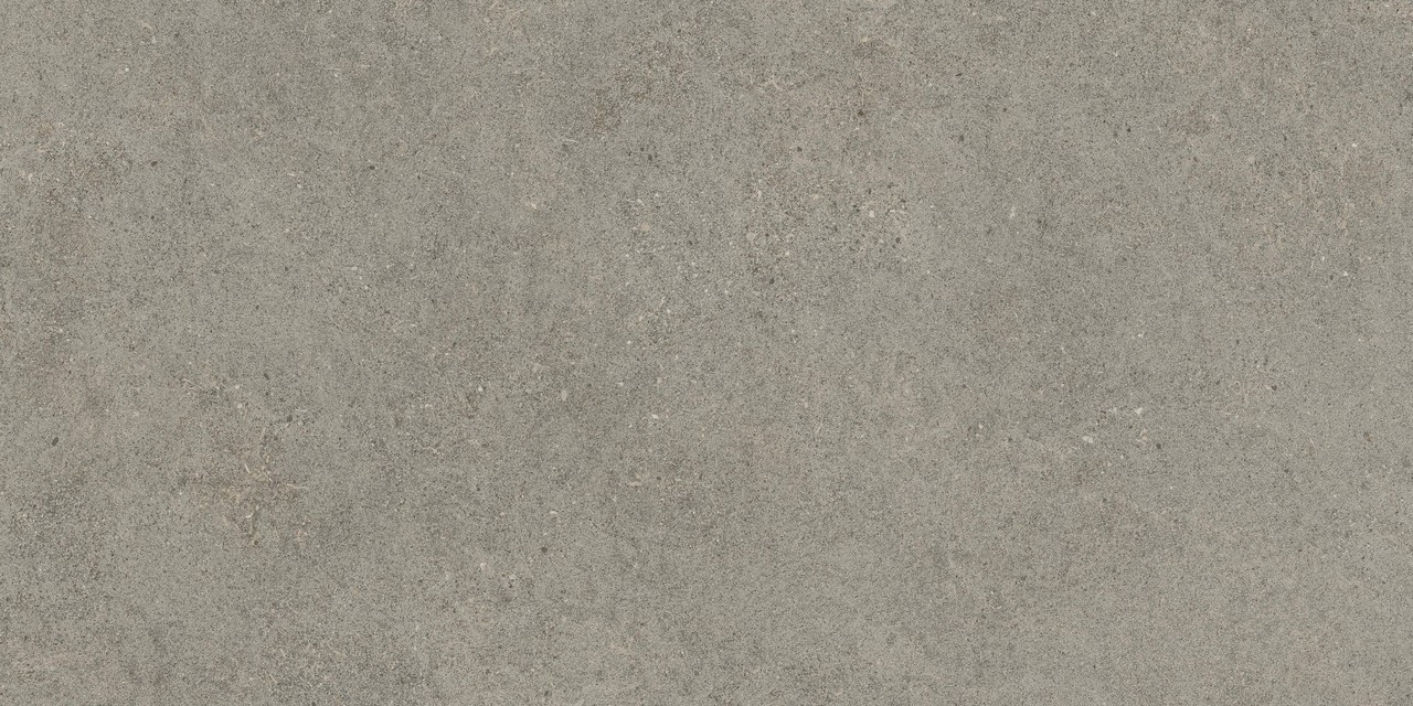610010005829 Forte dei Marmi Rock Lunar Grey Grip 60x120 Atlas Concorde Russia
