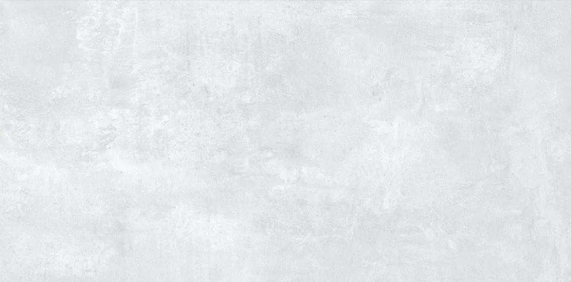 Ornata White Matt 60x120 SotGres