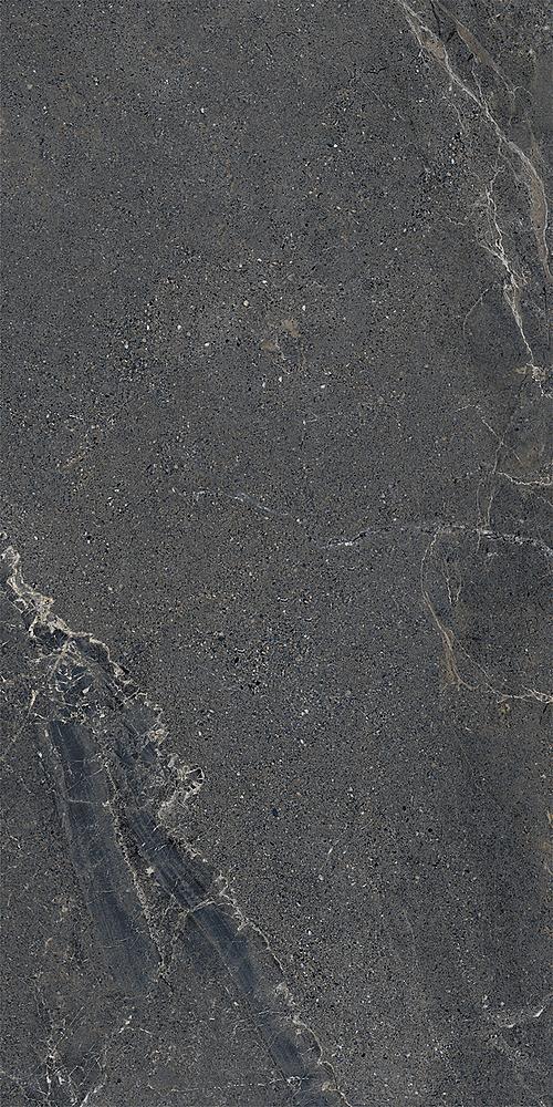 LGXAL55 Anthology 05 Dark Nat. RT 9.5mm 60x120 Lea Ceramiche