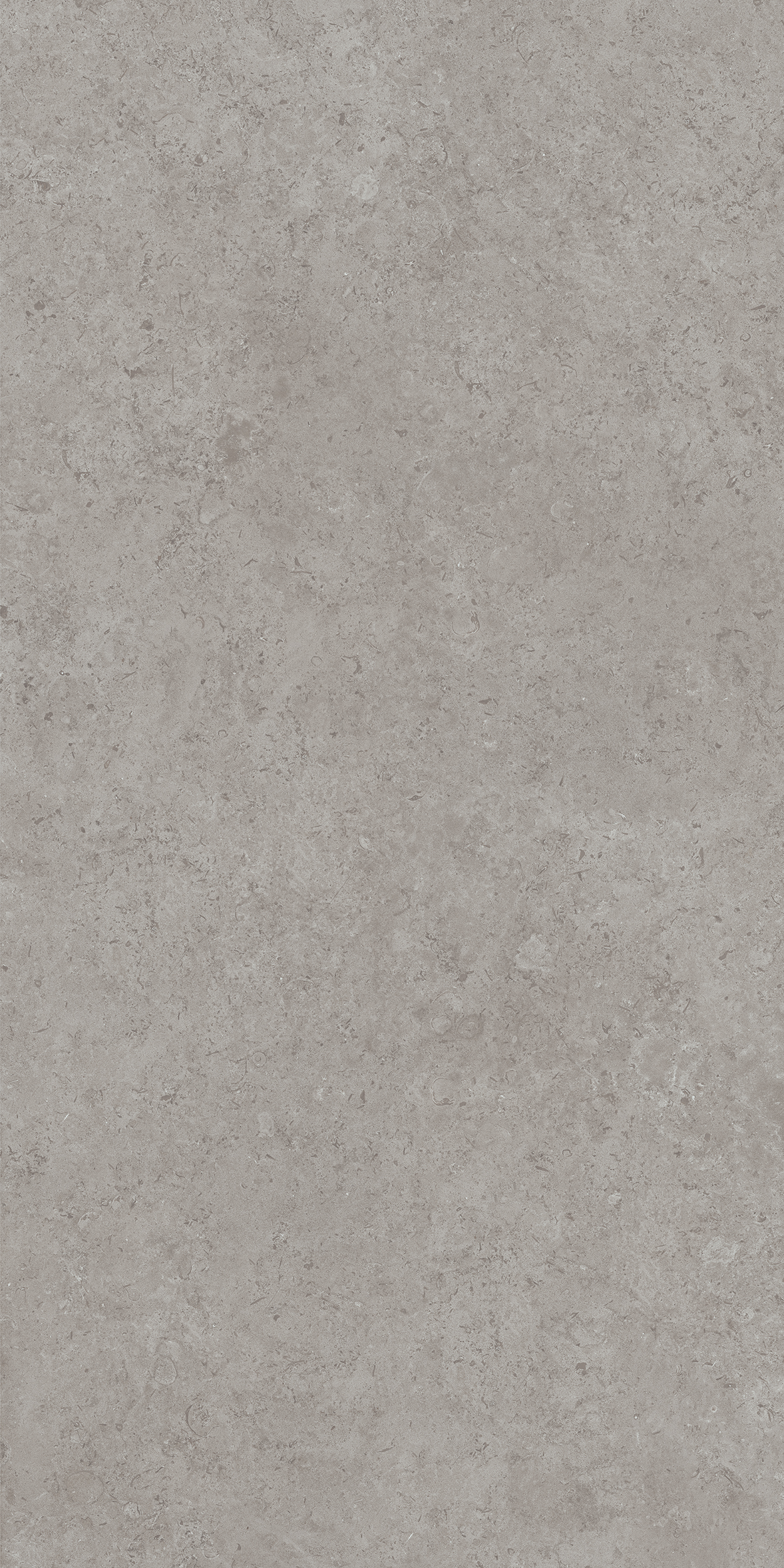 DD590600R Про Лаймстоун АТ серый натуральный обрезной R10 119,5х238,5 Kerama Marazzi