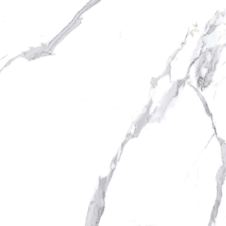 Calacatta Splendid Silver Белый Полированный 60х60 Ceradim