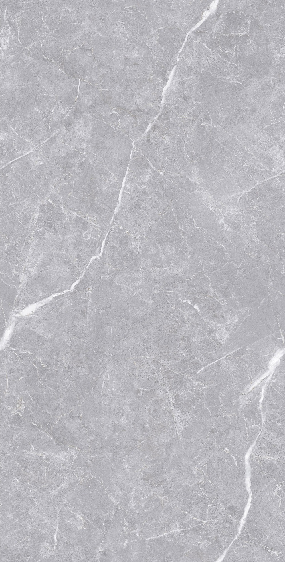 Luanda Polished Silver Carving 60x120 Realistik фото 2