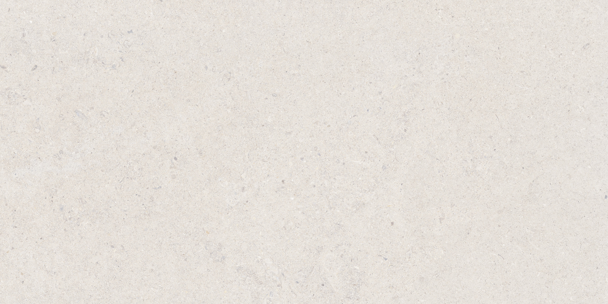 Calcare White 60x120 TAU Ceramica фото 4