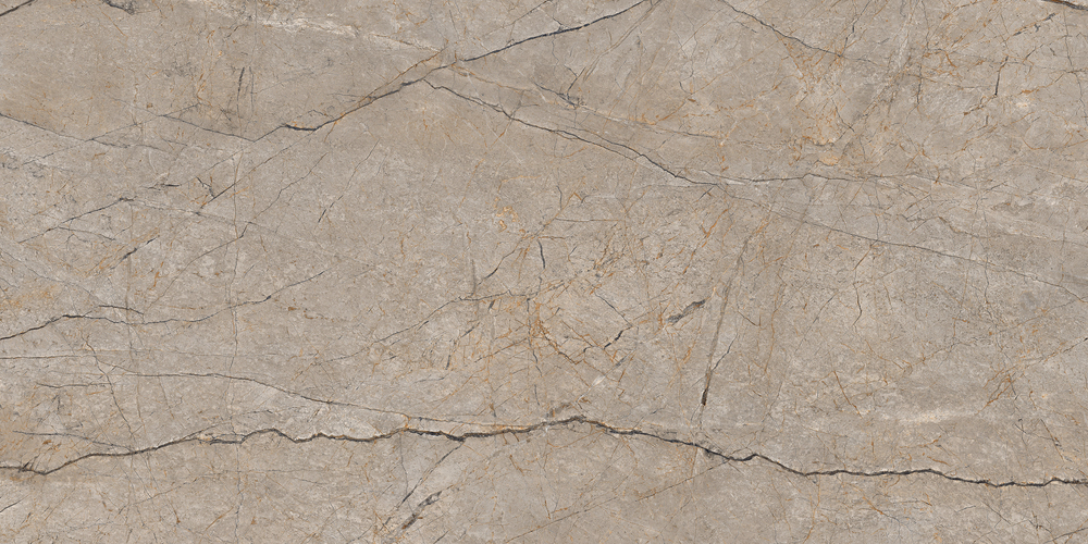 17124 Silver Roots серый матовый ректификат 60x120 Cersanit