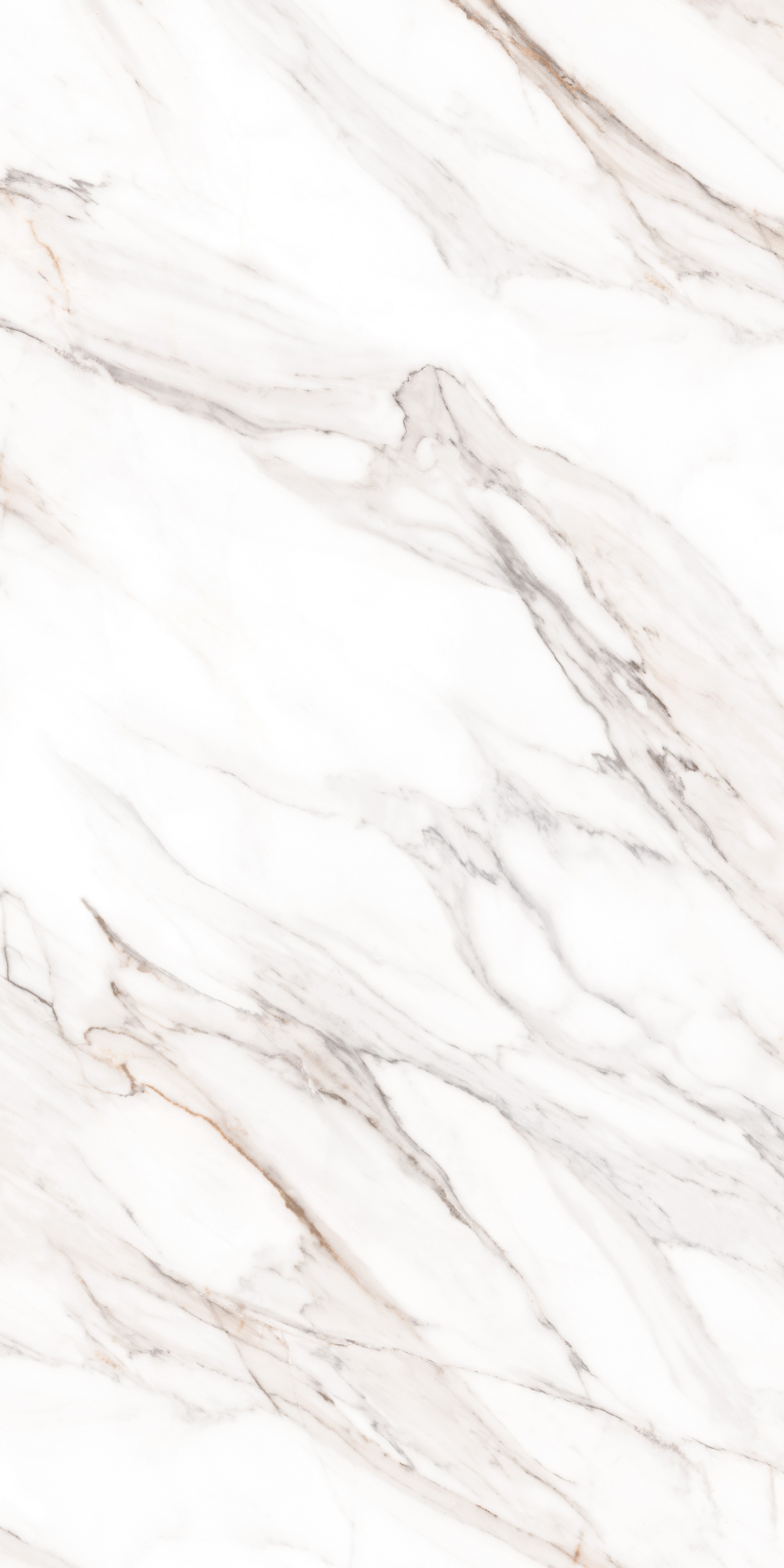 MPL-058640 Calacatta Gold Polished 80x160 Creto
