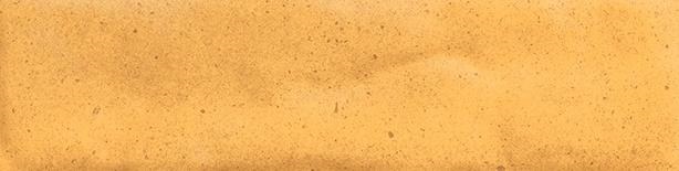 HHCB Vivia Kiln Euphoria Lucido 6x24 Atlas Concorde фото 2