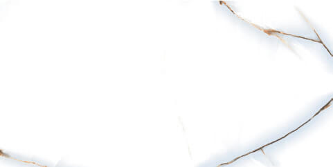 P76295 Barcelon Polished 60x120 Pardis Ceramic Pazh