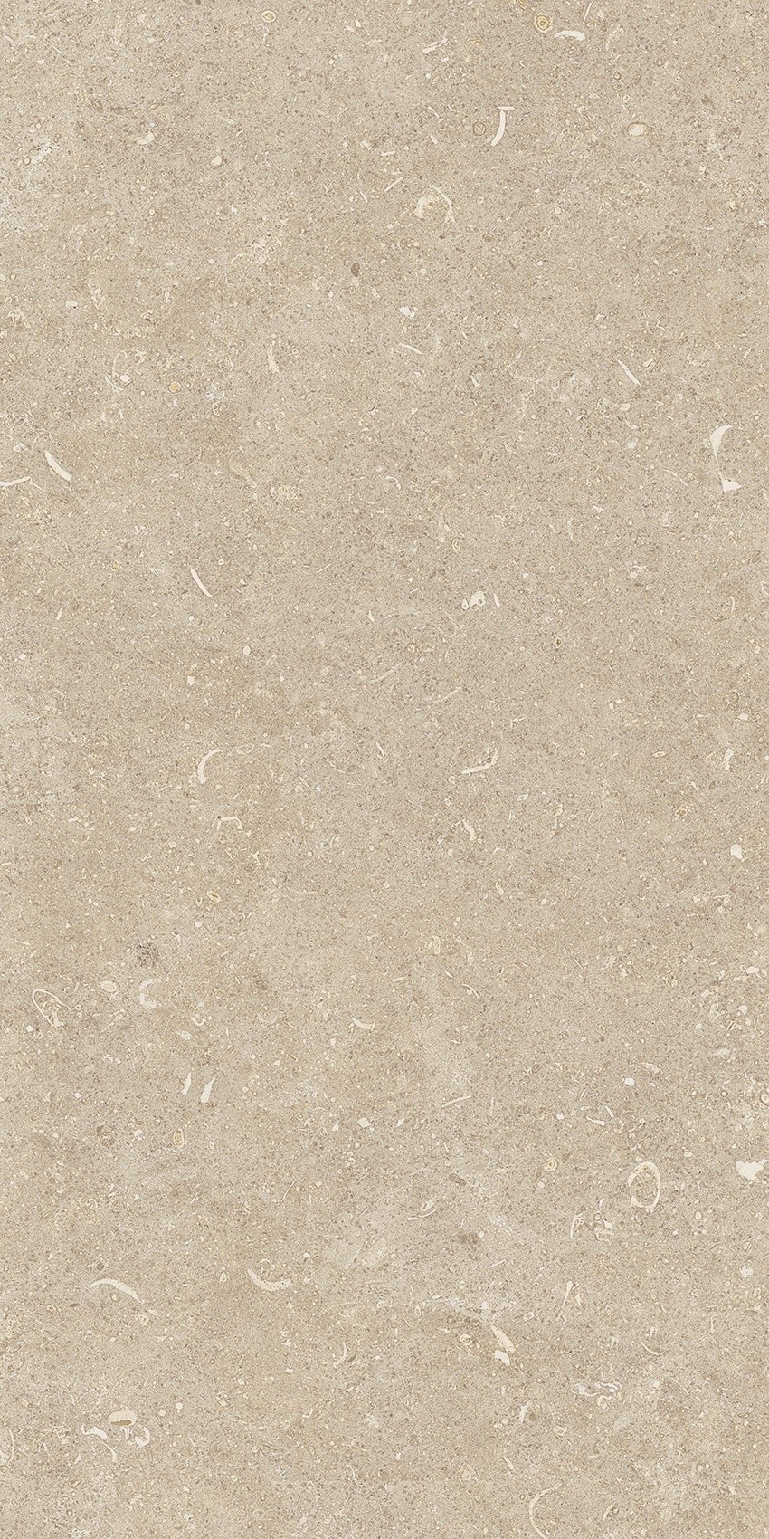 785501 Rinascenza Arena Conchiglia Grip 30x60 Casa Dolce Casa фото 10