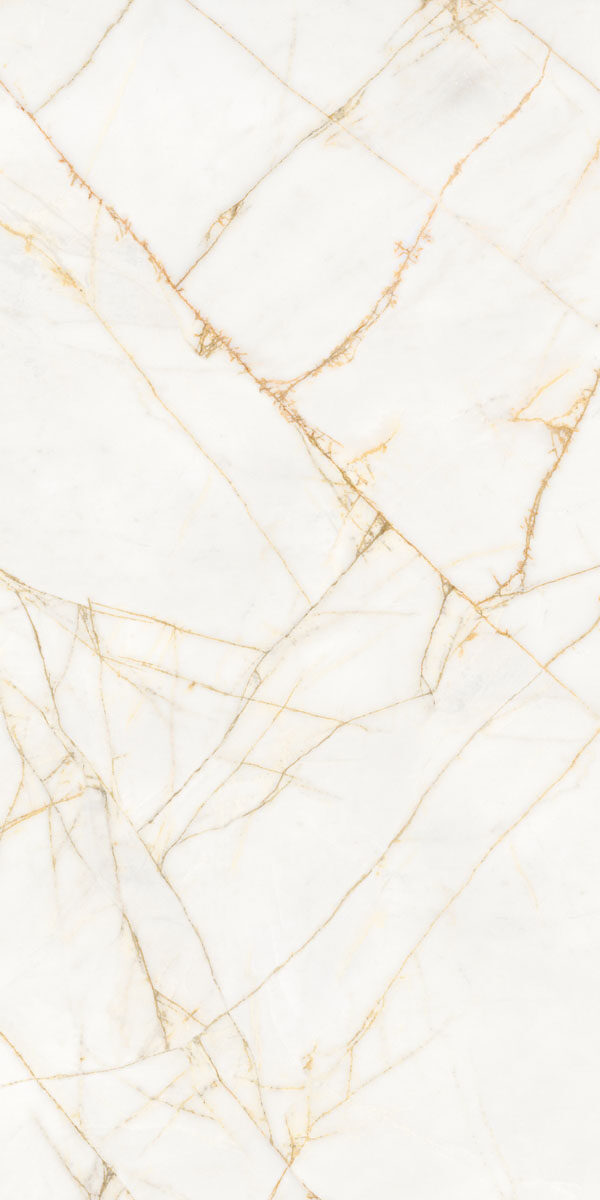 PF60017518 Supreme Hedonism Golden Spider Nat R 60x120 Flaviker