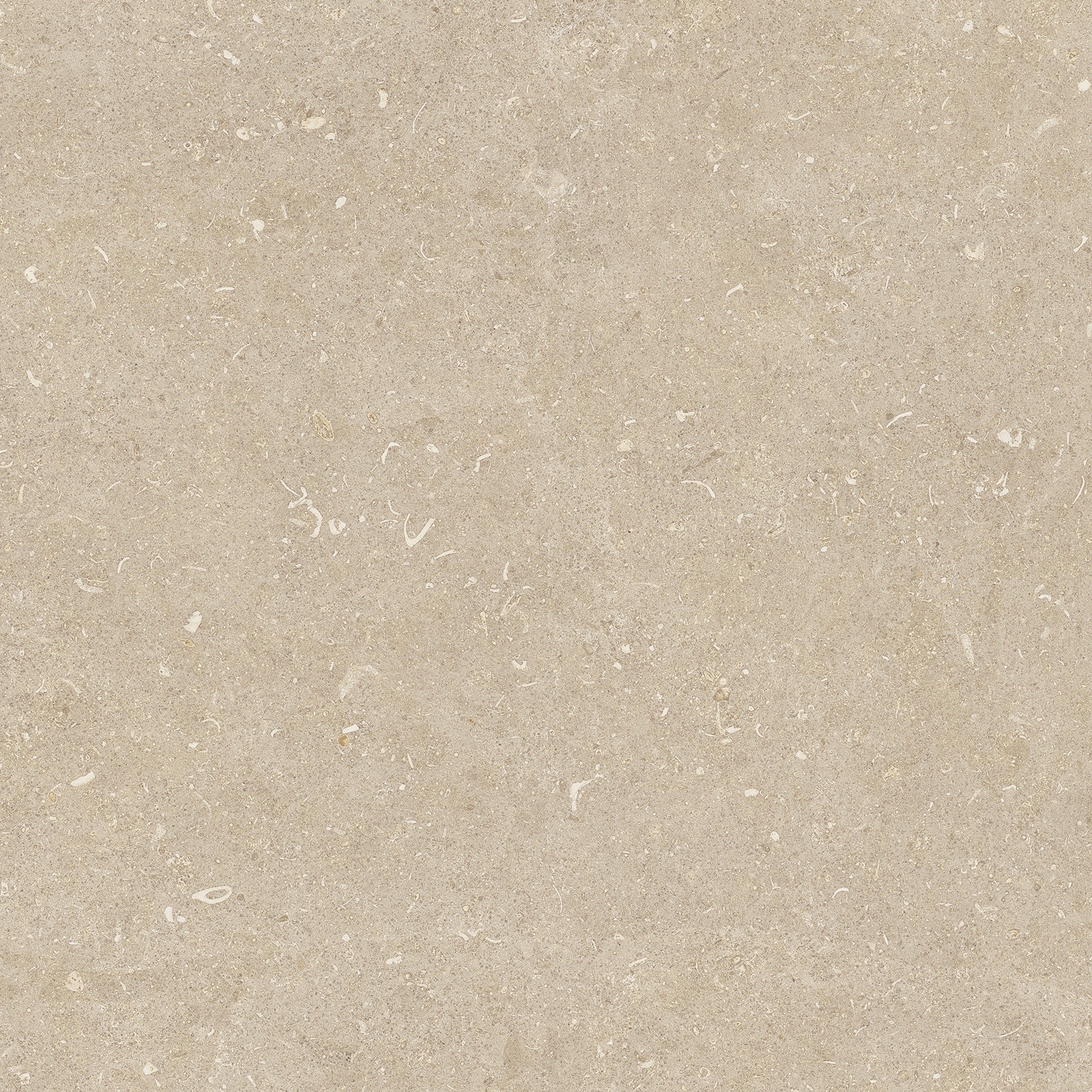 785485 Rinascenza Arena Conchiglia Matte 60x60 Casa Dolce Casa фото 7