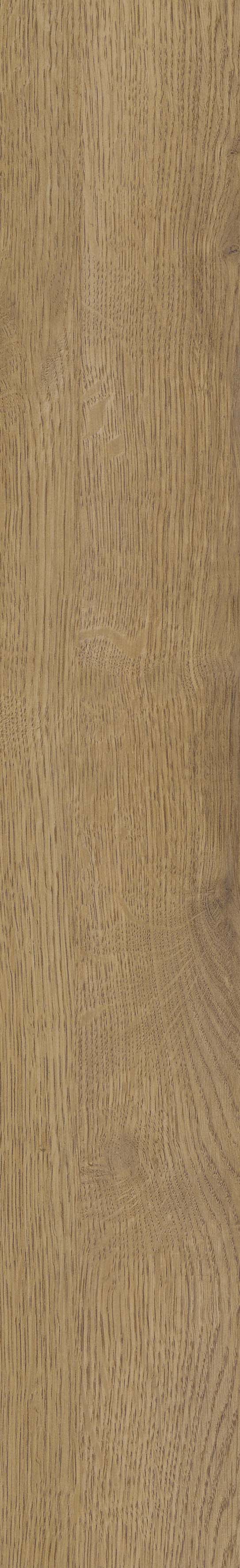 SGR51 Velaris Honey 9.2x60 Stargres фото 3