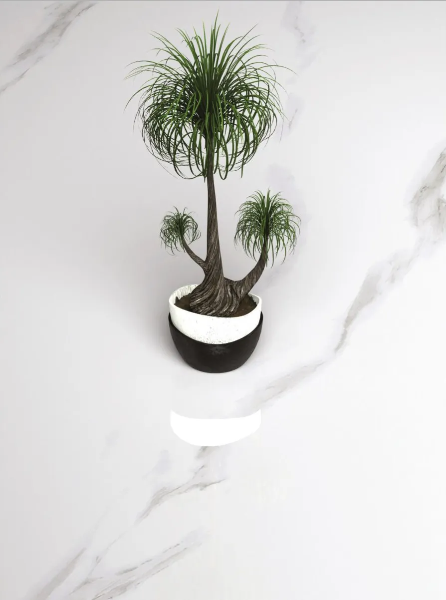 Statuario Paradise One Touch