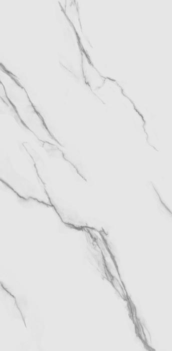 TP612M001 Авиталь матовый 60x120 PrimaVera фото 4