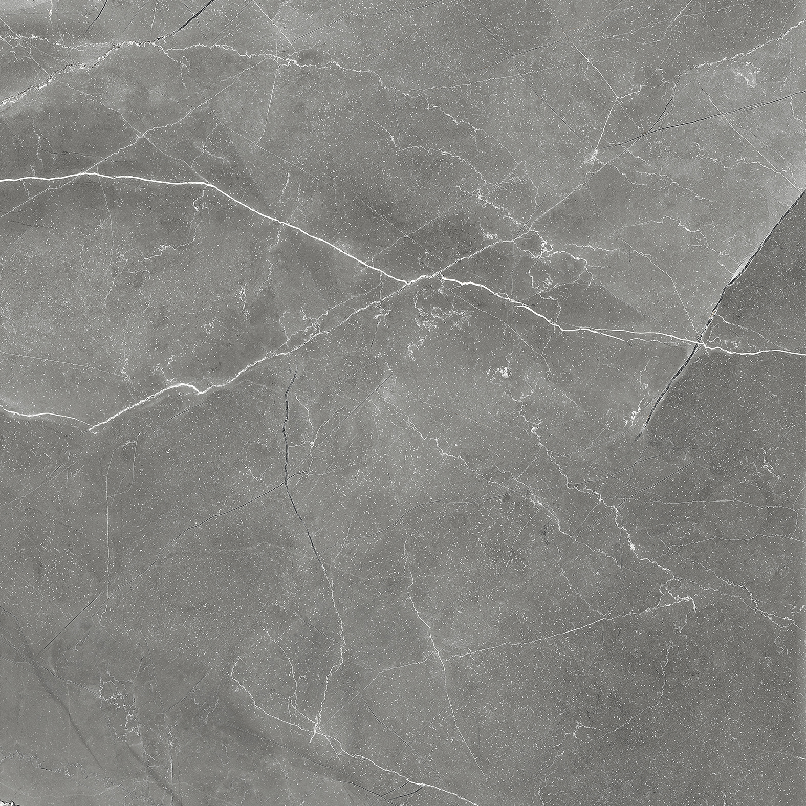 CR6011-A Pulpis Nero Carving 60x60 Arcadia Ceramica фото 8