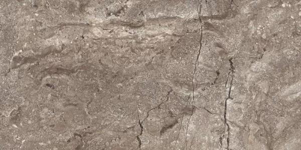 6405 Stone Grey Polished 60x120 Leopard