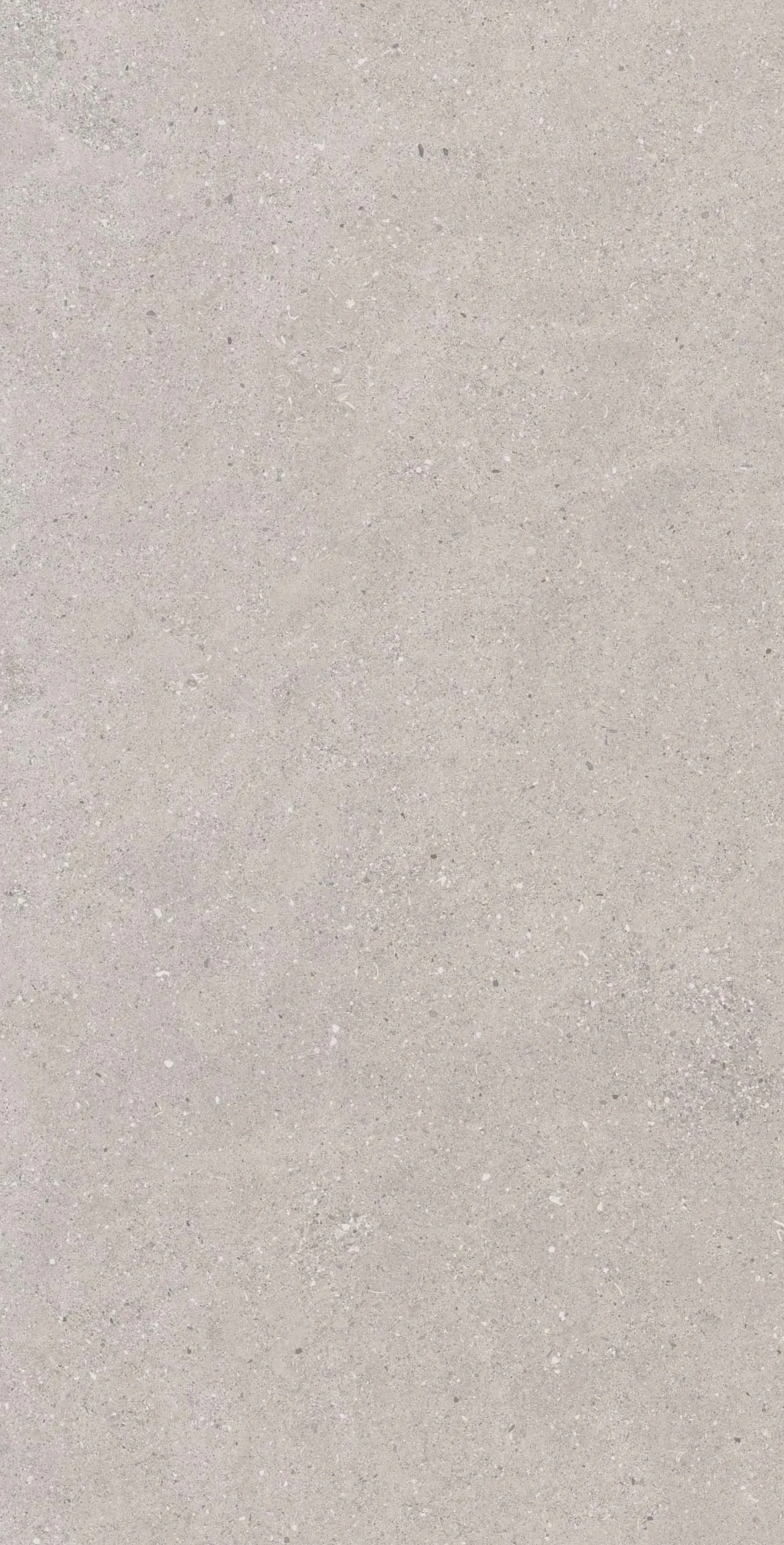 CE02 Спенс Светло-серый Структурированный Рект 60x120x9 Estima